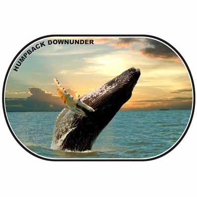 Humpback Downunder Placemat